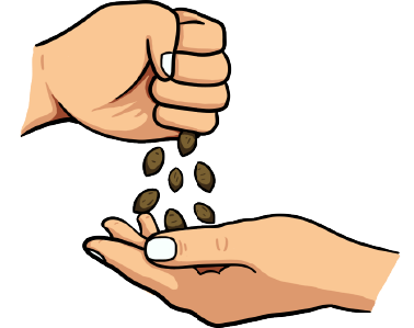 About I Love Growing Hemp Seeds